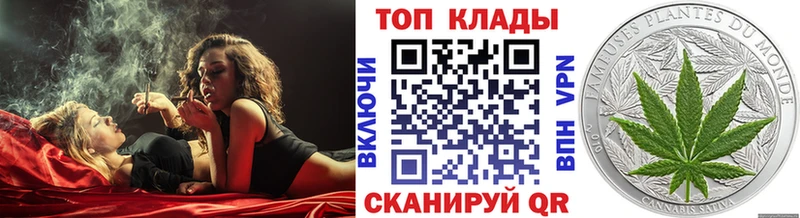 Виды наркоты Жуковский СОЛЬ  мега как войти  ГАШИШ  Каннабис  МЕФ 