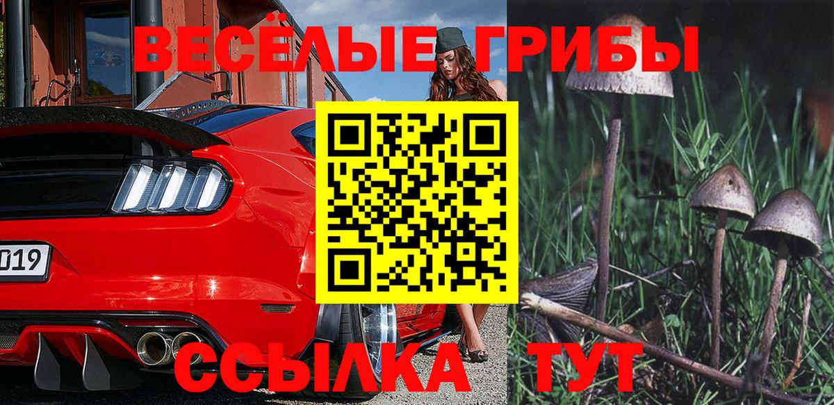 Галлюциногенные грибы Psilocybe  Вход с VPN  Жуковский  Галлюциногенные грибы мухоморы 